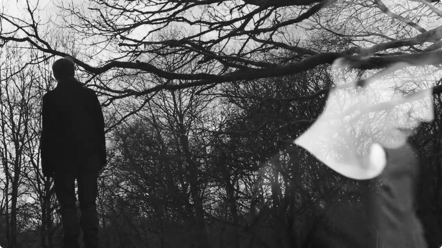 L’Abrasive — Photography & Teaser Video for Le Monde du Dssous